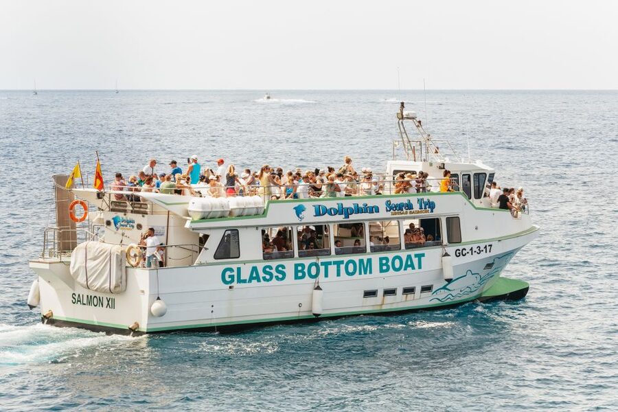 Gran Canaria: Dolphin and Whale Watching Cruise - The free return voucher and what it means