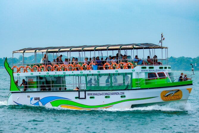 Great Whales Education Programe Dolphins and Whales are in SL - Timing, booking, and cancellation details