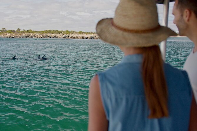 Guided Dolphin Eco-Cruise in Koombana Bay - Key points at a glance