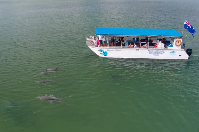 Guided Dolphin Eco-Cruise in Koombana Bay - The guides and the value of live commentary