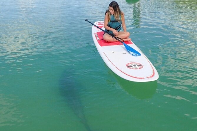 Guided Dolphin Eco Tour by Kayak & SUP - Fort Myers Beach, FL - Paddling into the Big Hickory Island Preserve