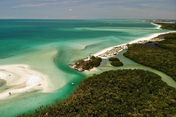 Guided Dolphin Eco Tour by Kayak & SUP - Fort Myers Beach, FL - Searching for dolphins, manatees, and birds