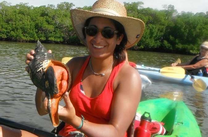 Guided Dolphin Eco Tour by Kayak & SUP - Fort Myers Beach, FL - Guides who add more than directions