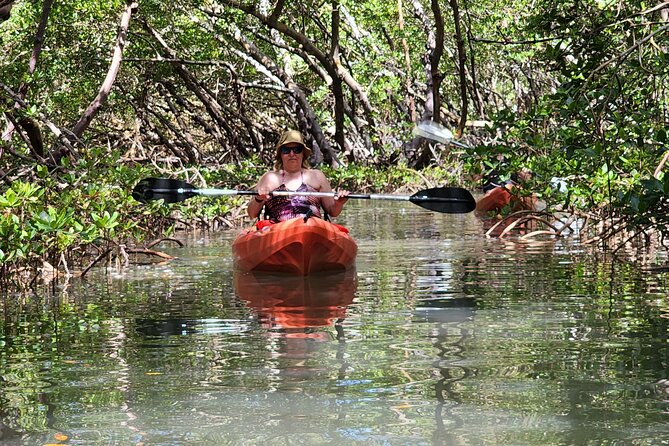 Guided Dolphin Eco Tour by Kayak & SUP - Fort Myers Beach, FL - Through the mangrove tunnels