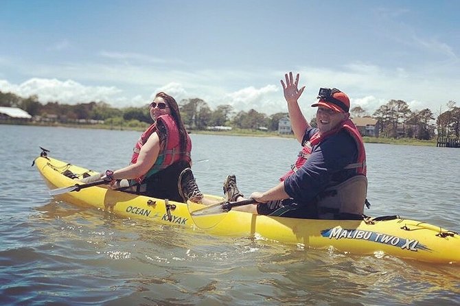 Guided Kayak Tour to see ponies, birds, dolphins and more - Ponies, birds, and the luck of the day
