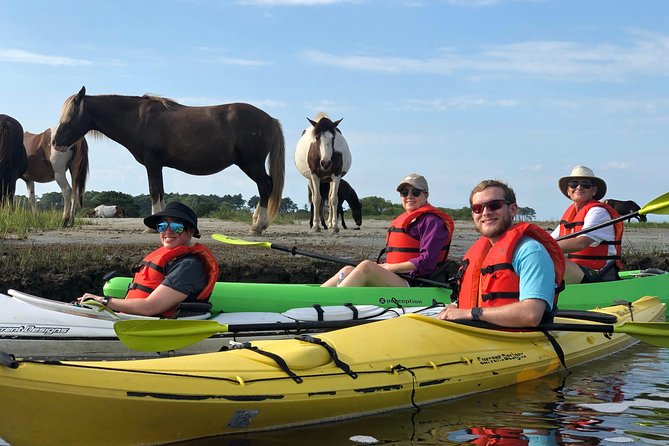 Guided Kayak Tour to see ponies, birds, dolphins and more - A small group and a guide named Bailey
