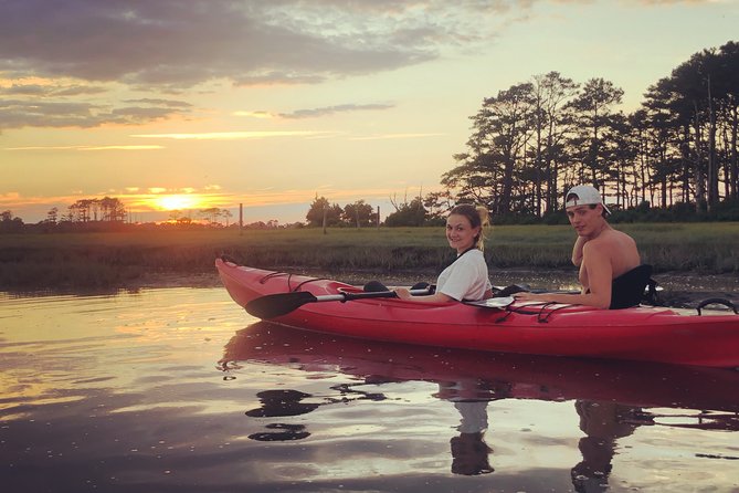 Guided Kayak Tour to see ponies, birds, dolphins and more - How strenuous is the paddling?
