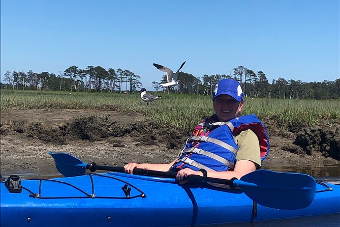 Guided Kayak Tour to see ponies, birds, dolphins and more - The two-hour versus three-hour question