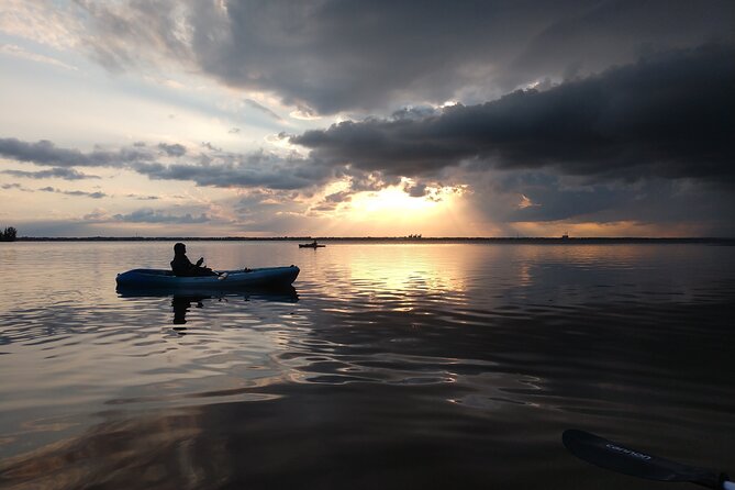 Guided Kayak Tour with Manatee & Dolphin Sightings - Is $50 a fair price?