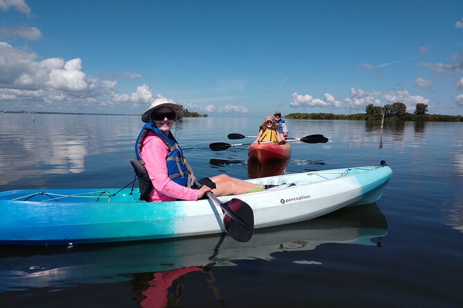 Guided Kayak Tour with Manatee & Dolphin Sightings - Practical details that can make or break the outing