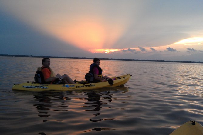 Guided Kayak Tour with Manatee & Dolphin Sightings - Why the guide matters here