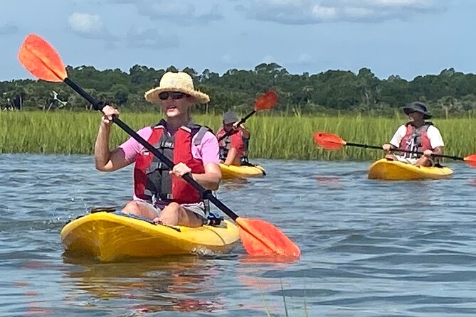 Guided Tour for Dolphin & Sea Turtle Observation in Saint Augustine, Florida - Dolphins, sea turtles, birds, and the wildlife question