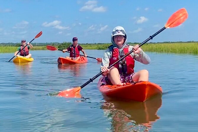 Guided Tour for Dolphin & Sea Turtle Observation in Saint Augustine, Florida - The guide makes or breaks the experience