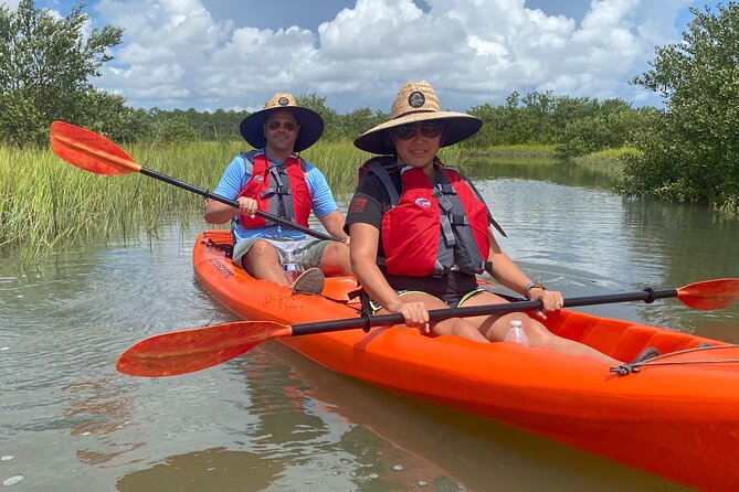 Guided Tour for Dolphin & Sea Turtle Observation in Saint Augustine, Florida - Choosing the right time and conditions