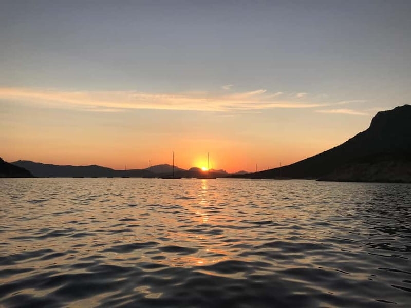 Gulf of Olbia: Dolphin watching by dinghy - Why Figarolo is the right place for dolphin watching
