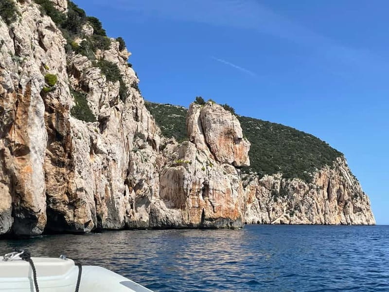 Gulf of Olbia: Dolphin watching by dinghy - Capo Figari and the coast beyond the dolphins