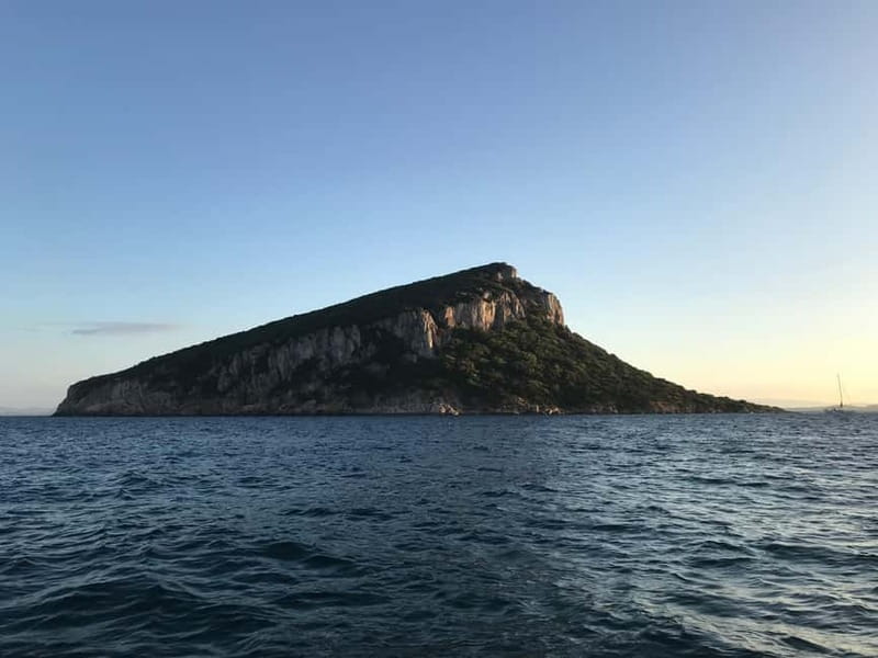 Gulf of Olbia: Dolphin watching by dinghy - Is $41 good value for 1.5 hours?