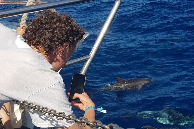 Half-Day Cruise Tour-Dolphin and Whale Watching - The Swim and Snorkel Stop Near Puerto Rico