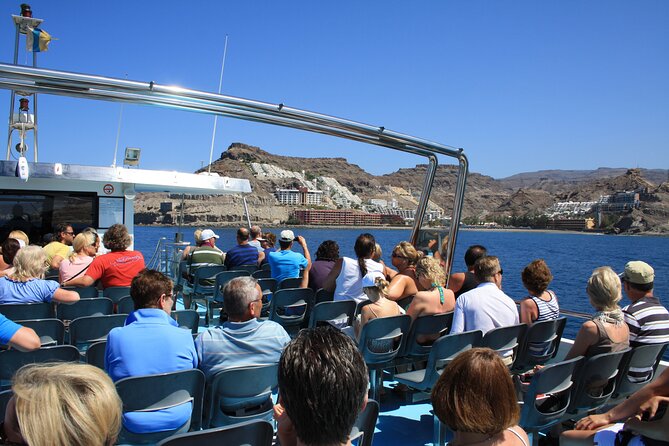 Half-Day Cruise Tour-Dolphin and Whale Watching - Is $44.65 Good Value?