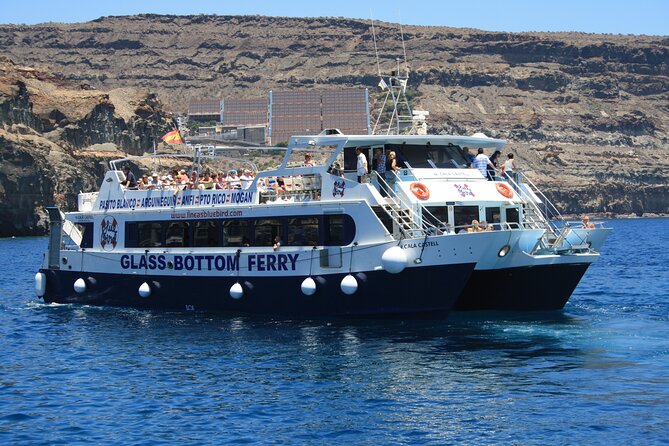Half-Day Cruise Tour-Dolphin and Whale Watching - Timing, Pickup, and the Practical Details
