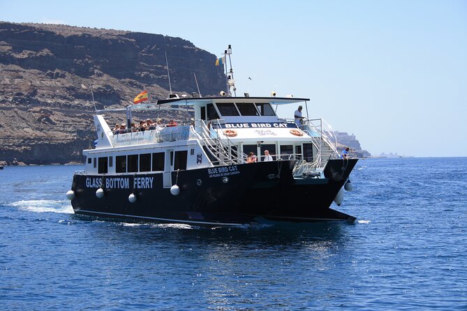 Half-Day Cruise Tour-Dolphin and Whale Watching - What Happens If You See No Wildlife?