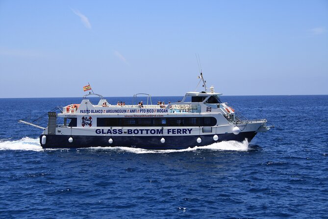 Half-Day Cruise Tour-Dolphin and Whale Watching - Weather, Cancellation, and Who Should Go