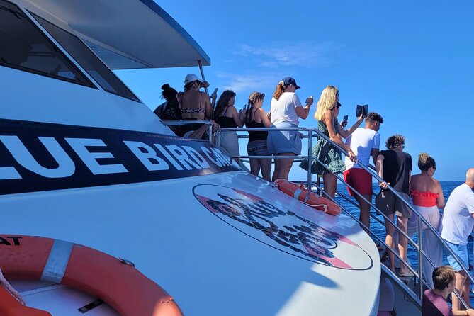 Half-Day Cruise Tour-Dolphin and Whale Watching - Picking the Best Seat on the Boat