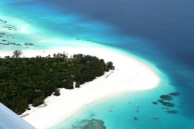 Half-Day Dolphin & Snorkeling Tour in Mnemba Island Zanzibar - Key points to know before booking