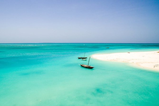 Half-Day Dolphin & Snorkeling Tour in Mnemba Island Zanzibar - 8:00 am pickup and the ride to the coast