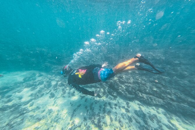Half-Day Dolphin Watching and Snorkeling in Samara - Searching Sámara’s waters for dolphins and whales