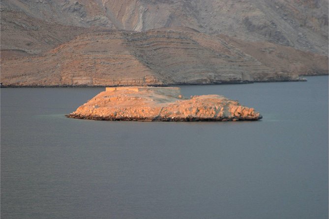 Half Day Dolphin Watching Musandam Dhow Cruise - What is included for a $55 price