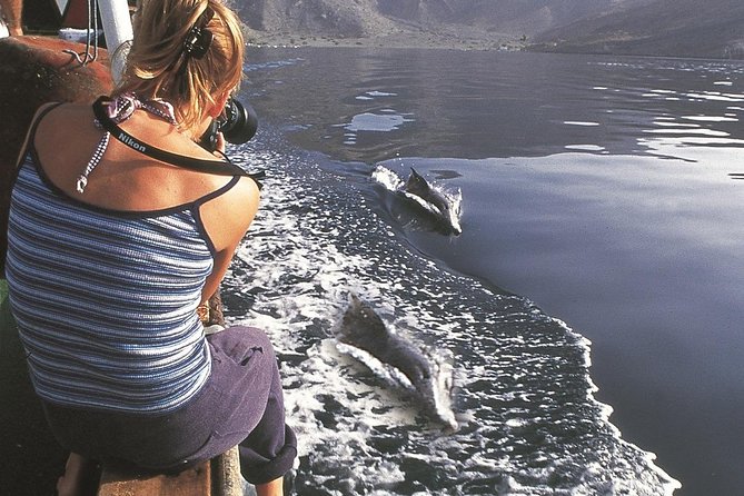 Half Day Dolphin Watching Musandam Dhow Cruise - Who will get the most from this cruise
