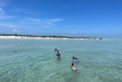 Half Day Eco and Dolphin Boat Tour in Siesta Key