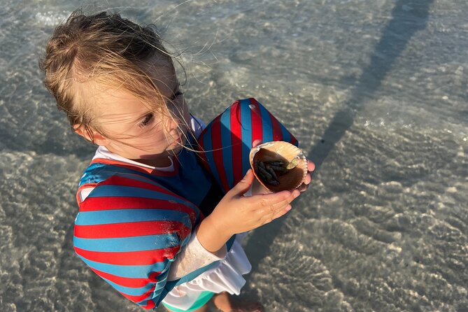 Half Day Eco and Dolphin Boat Tour in Siesta Key - Wildlife, Swimming, and Shelling