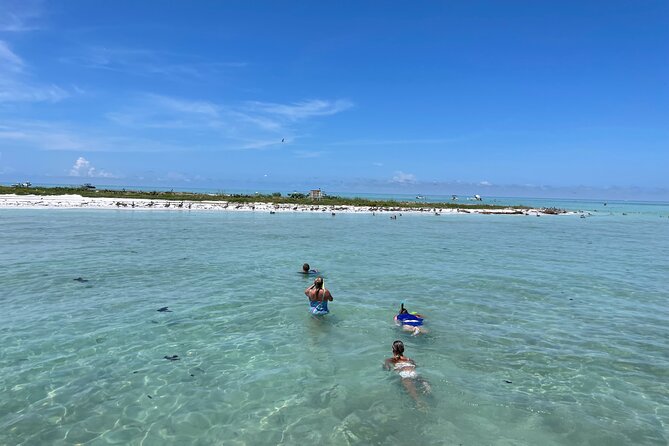 Half Day Eco and Dolphin Boat Tour in Siesta Key - Bird Island and Historic Spanish Point