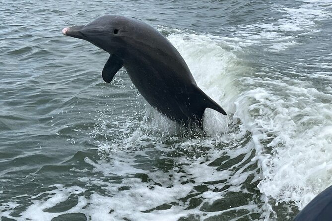 Half Day Shelling Dolphin Eco Tour in 10 000 Island and Marco - Leaving Goodland for the mangroves