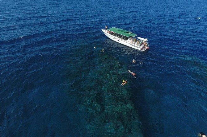 Half Day Snorkel to Lanai from Kaanapali Beach + Dolphin Search - The crossing to Lanai and the wildlife search