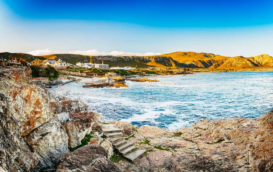 Hermanus: Whale and Dolphin Watching Boat Trip - A guide who helps you read the water