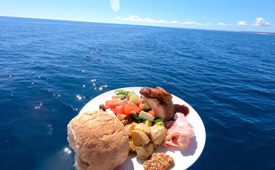 Hervey Bay: Pre-season Whale and Dolphin Watching Cruise - Morning tea first, then the wildlife search