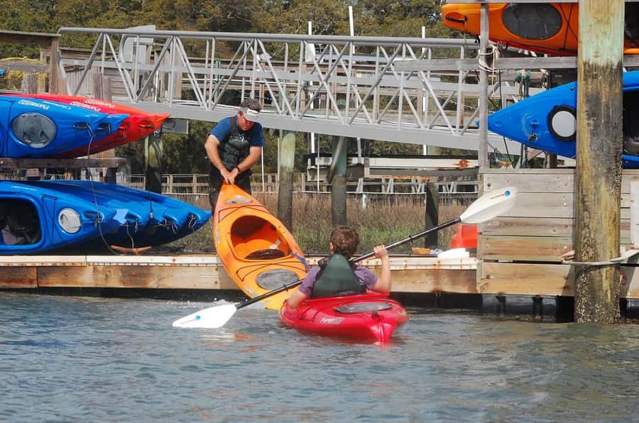Hilton Head: 2-Hour Kayak Dolphin Nature Tour - The dolphin search