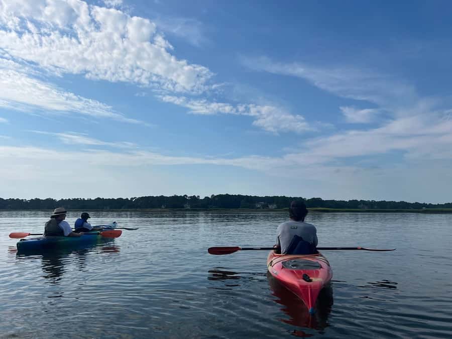 Hilton Head: 2-Hour Kayak Dolphin Nature Tour - Birds, bald eagles, and the smaller surprises