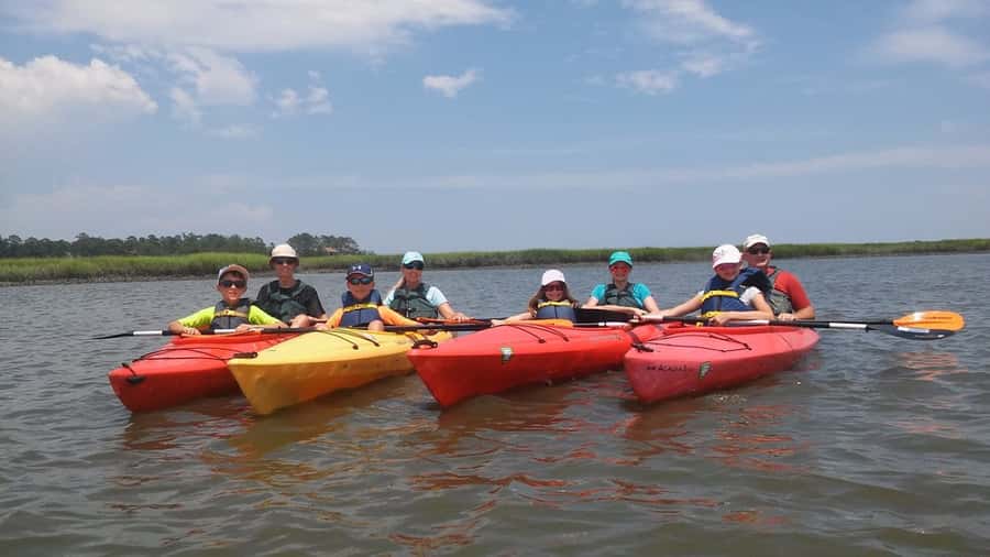 Hilton Head: 2-Hour Kayak Dolphin Nature Tour - A beginner-friendly paddle, with a few limits