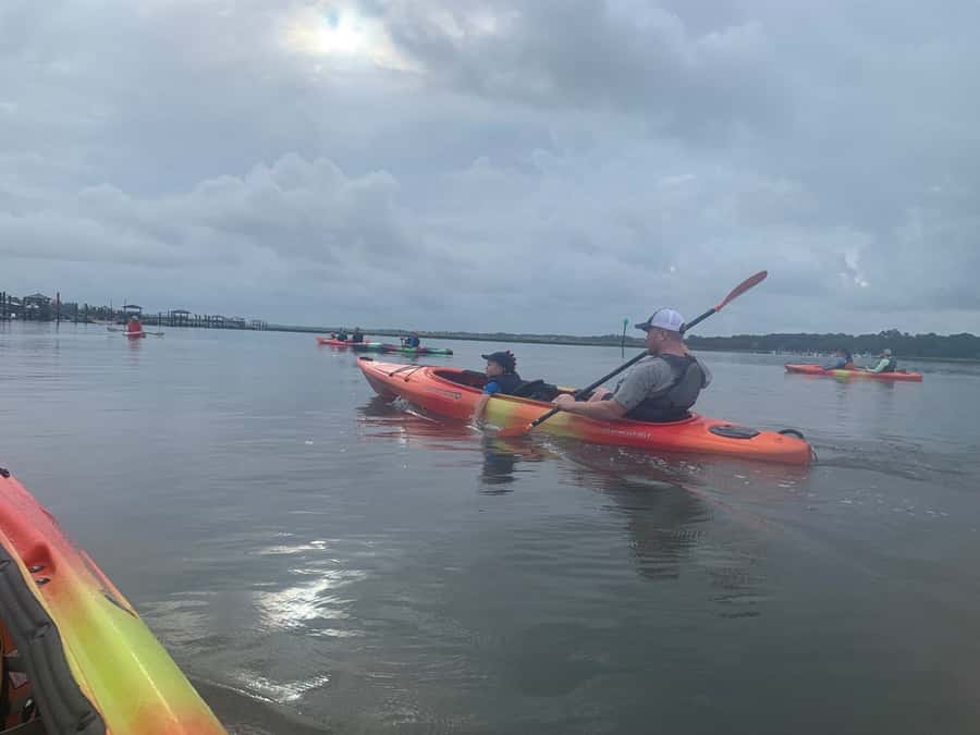 Hilton Head: 2-Hour Kayak Dolphin Nature Tour - Guides make a noticeable difference
