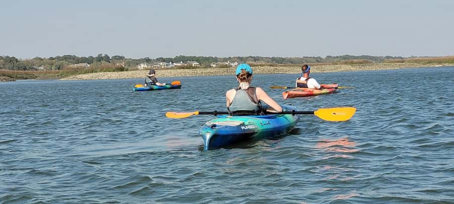 Hilton Head: 2-Hour Kayak Dolphin Nature Tour - Morning calm or evening light
