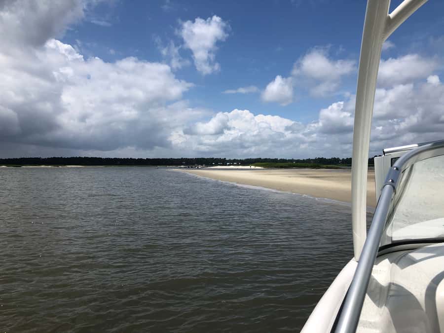 Hilton Head: 2 Hour Private Dolphin Tour - Weather, timing, and the best fit
