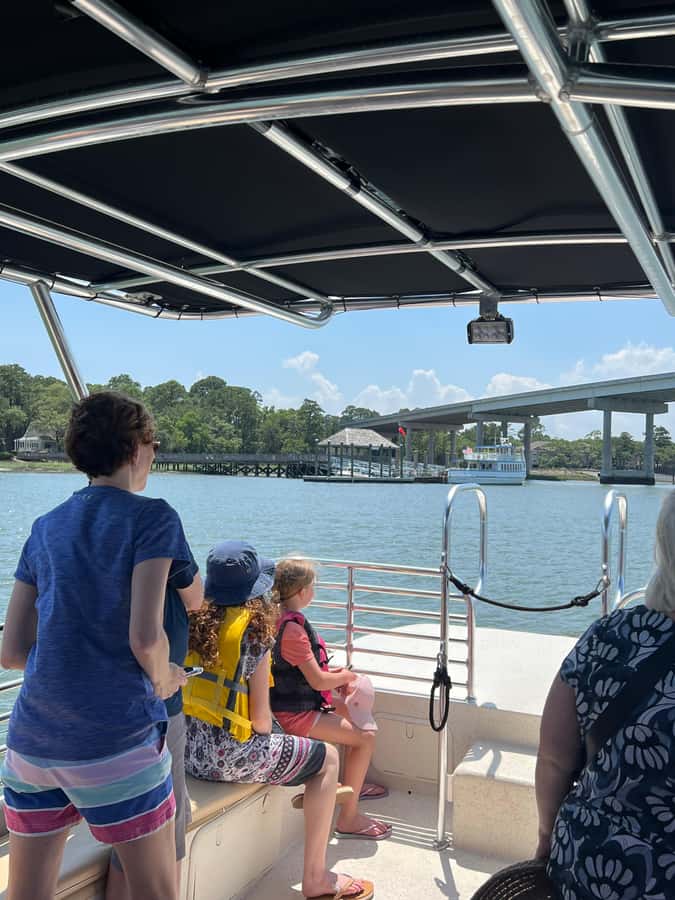 Hilton Head: Dolphin Eco Tour with Naturalist Guide - What the naturalist guides add