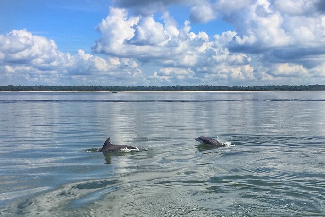 Hilton Head Dolphin Tour with Stop at Disappearing Island - What the two-hour itinerary feels like