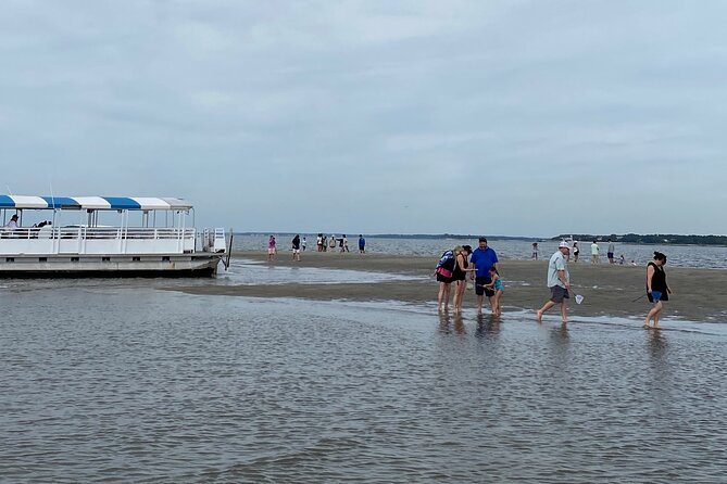 Hilton Head Dolphin Tour with Stop at Disappearing Island - How much value do you get for $55?
