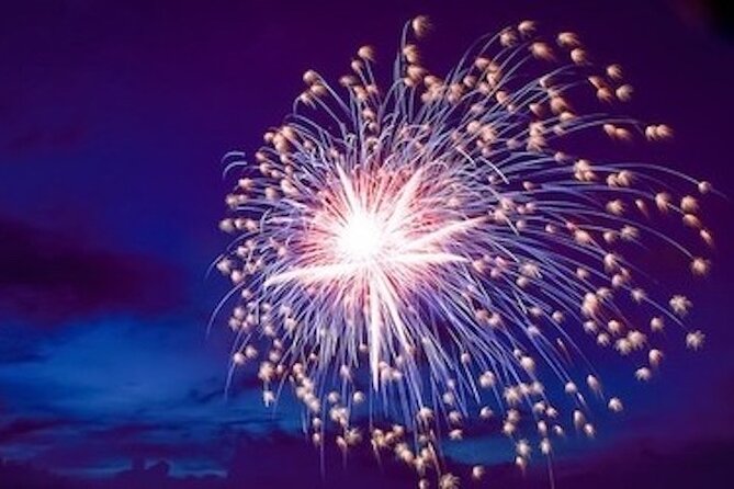 Hilton Head Dolphin Watching Cruise with Fireworks Display - Is $59.99 a fair price?
