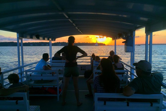 Hilton Head Dolphin Watching Cruise with Fireworks Display - Practical details that affect your comfort